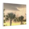 Palm Trees at Dusk canvas