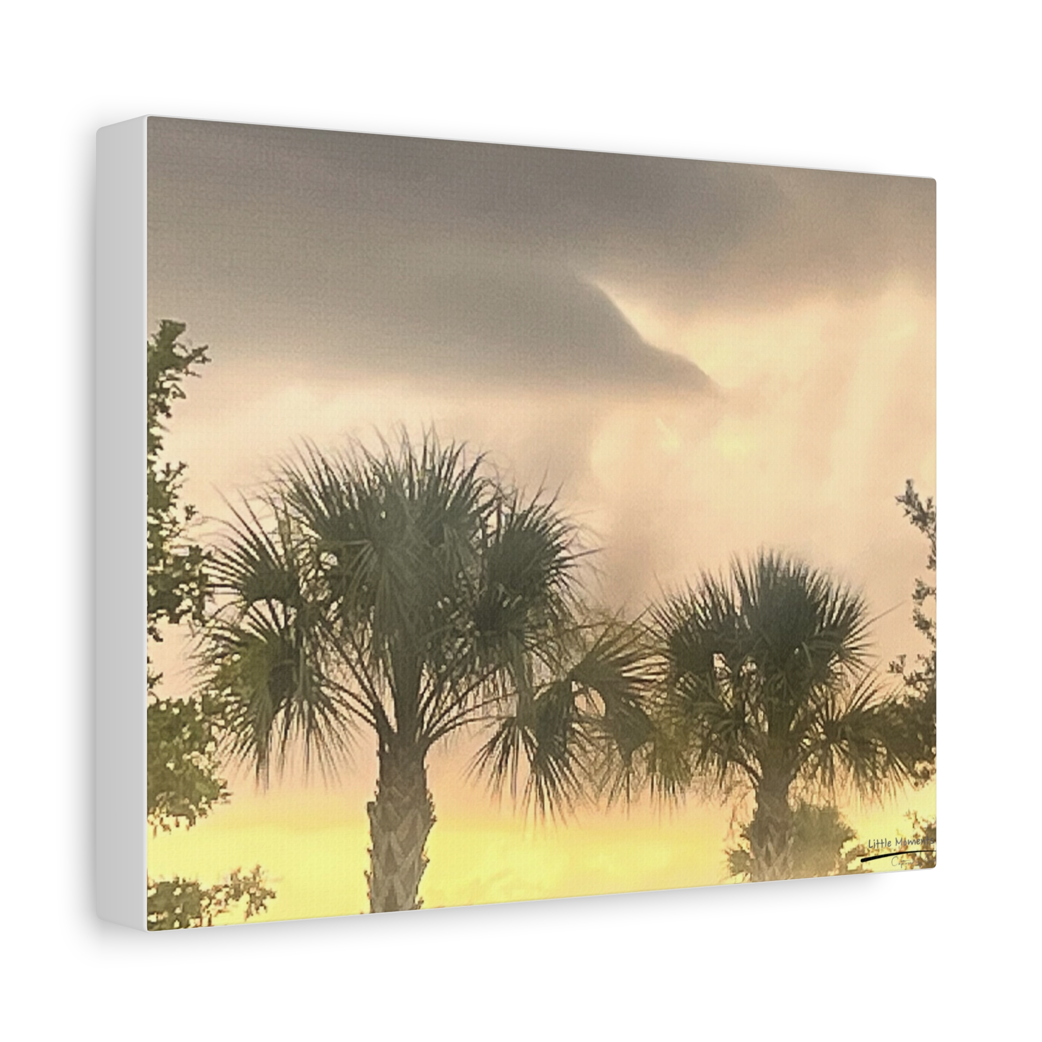 Palm Trees at Dusk canvas