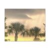 Palm Trees at Dusk canvas