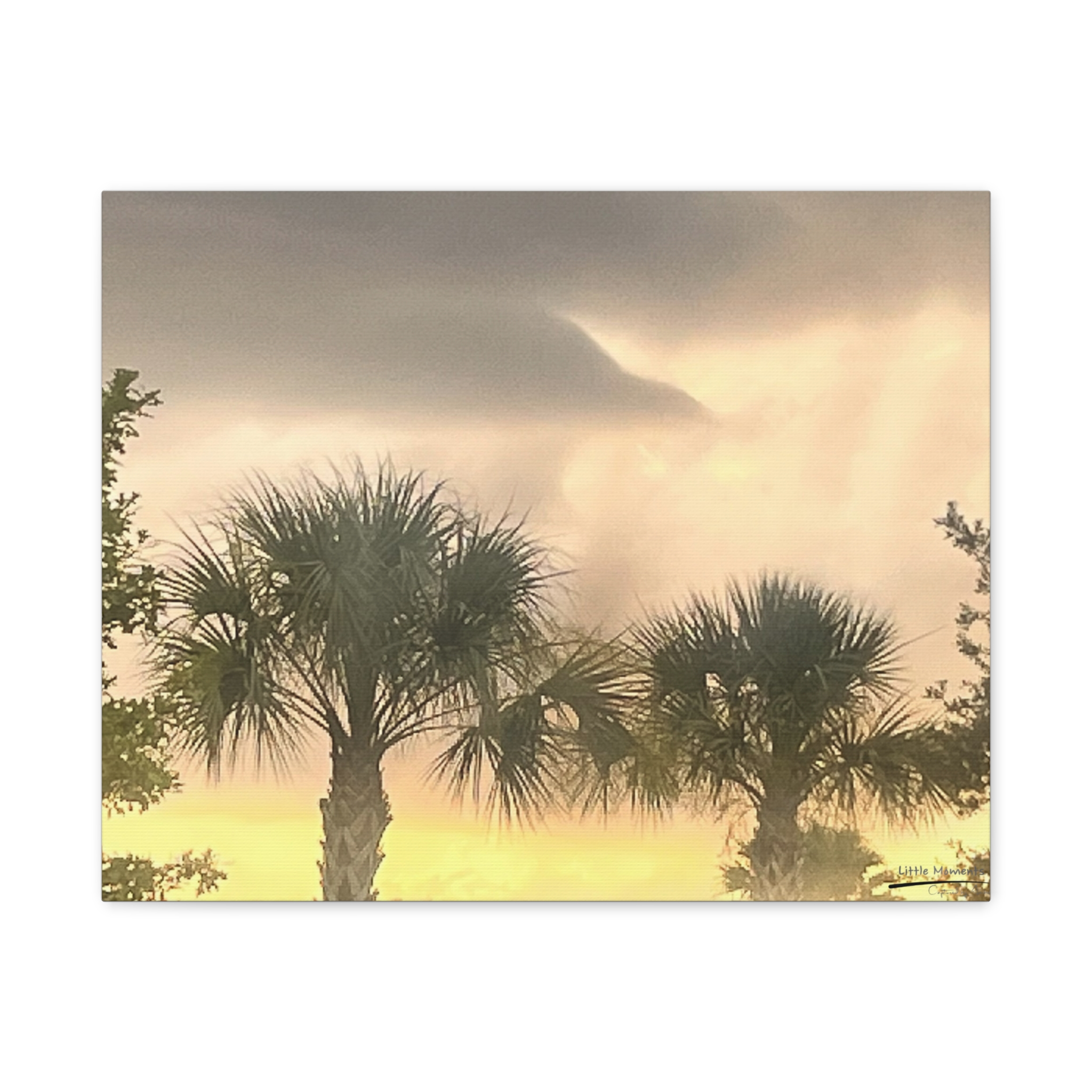 Palm Trees at Dusk canvas