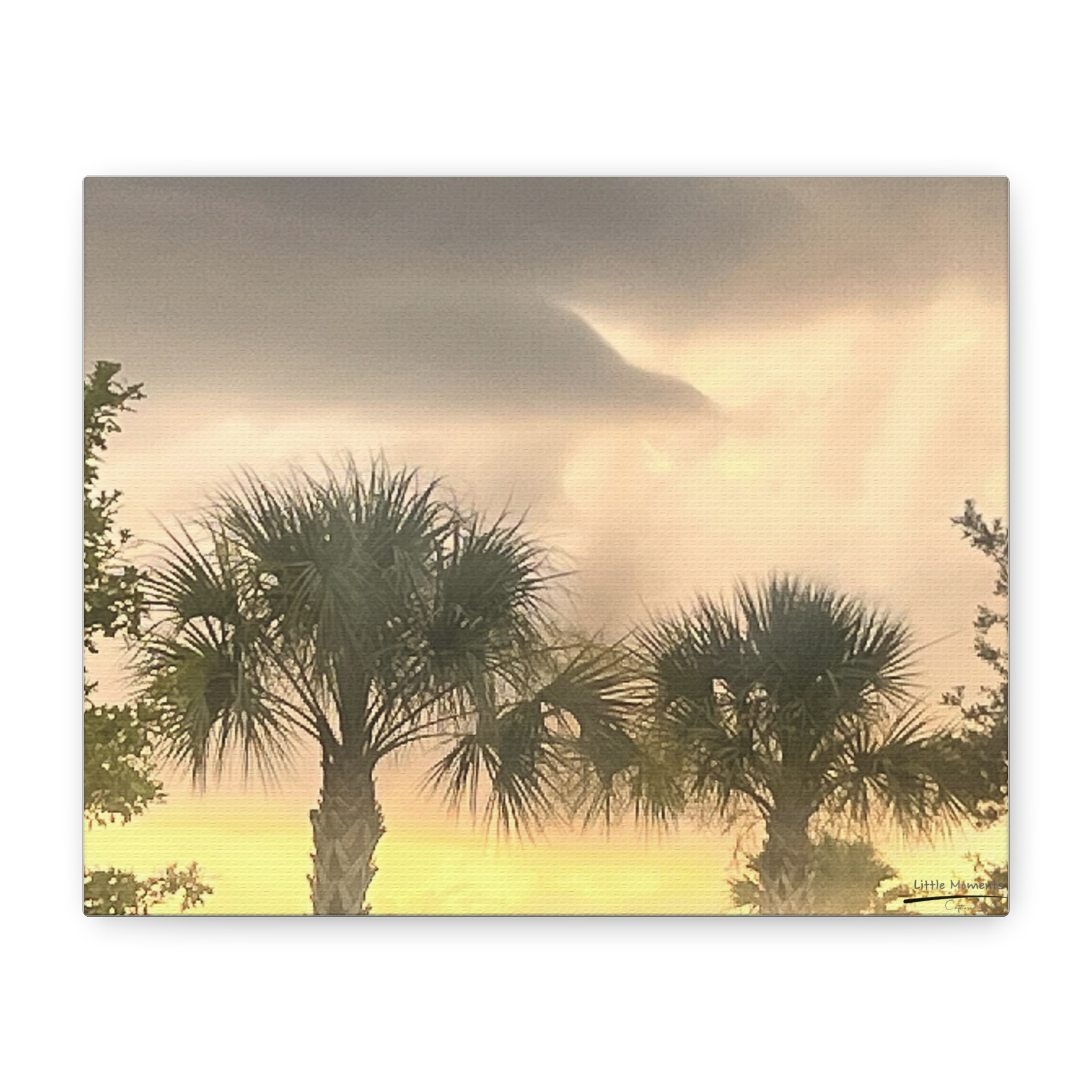 Palm Trees at Dusk canvas