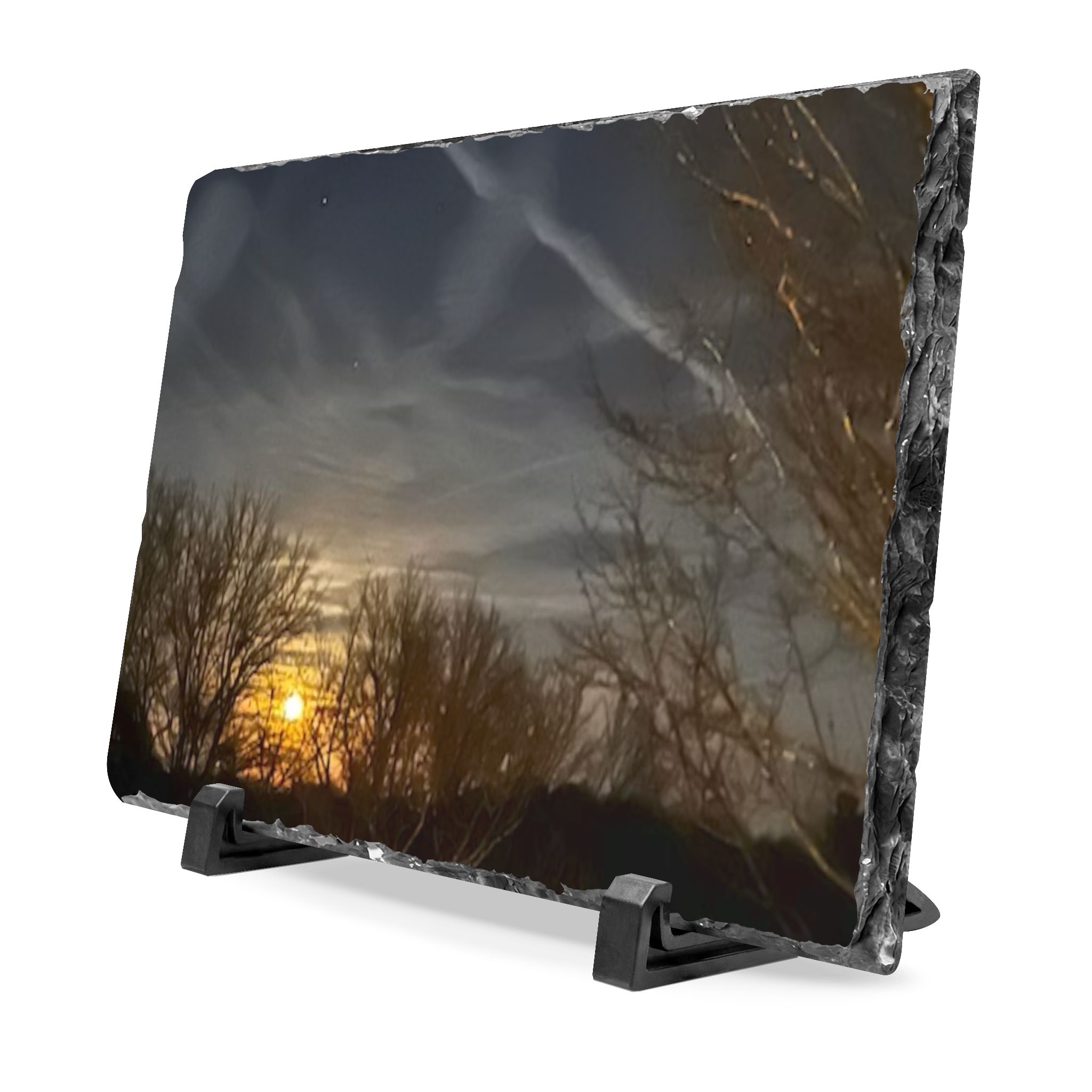 11376438715082230830_2048.jpeg Moonlit Trees Slate Desk Plaque — Rustic Nature Photo Display
