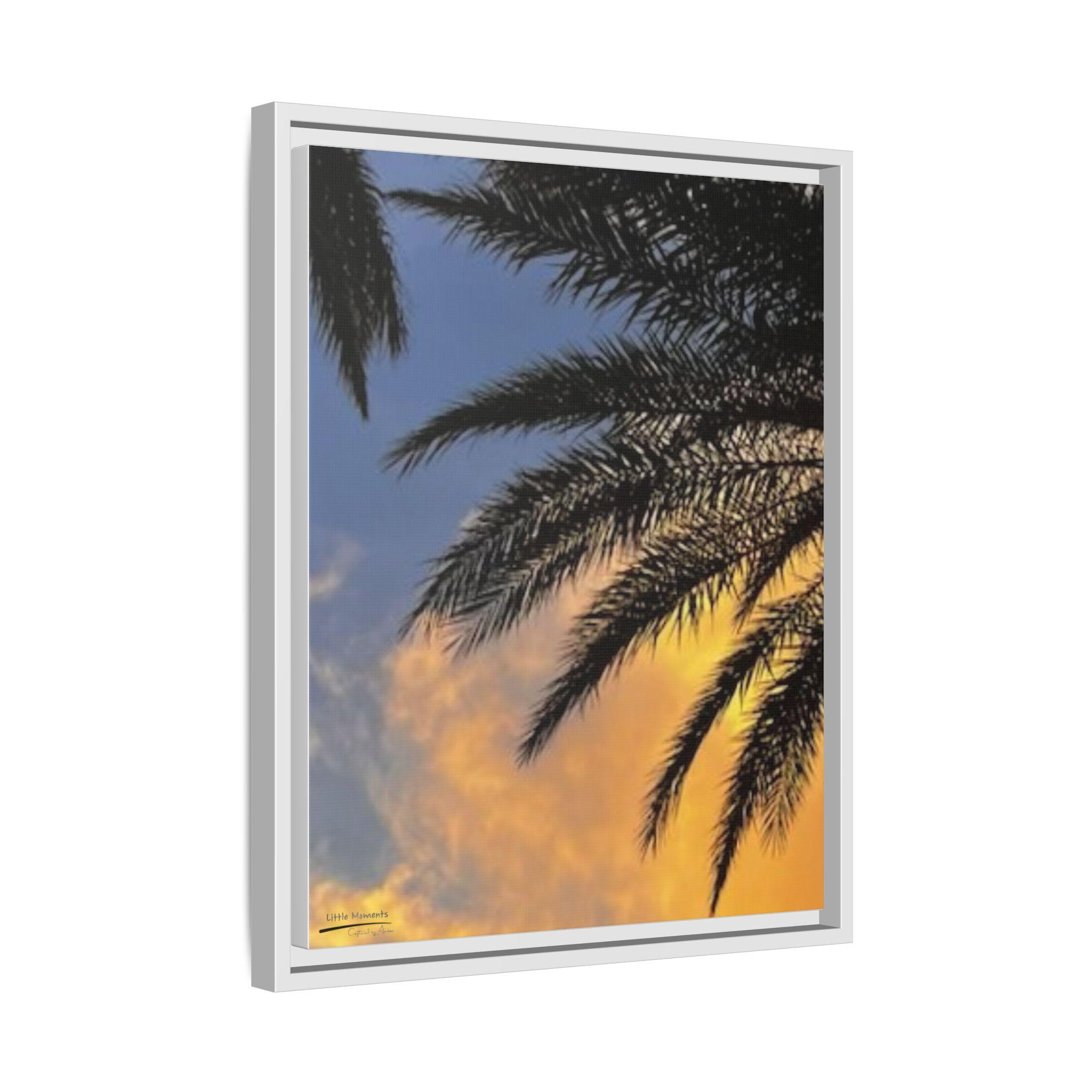 Florida Life series 1 Framed Canvas Print