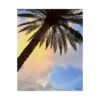 Florida Life series 2 Matte Poster — Tropical Sky Vertical Wall Art