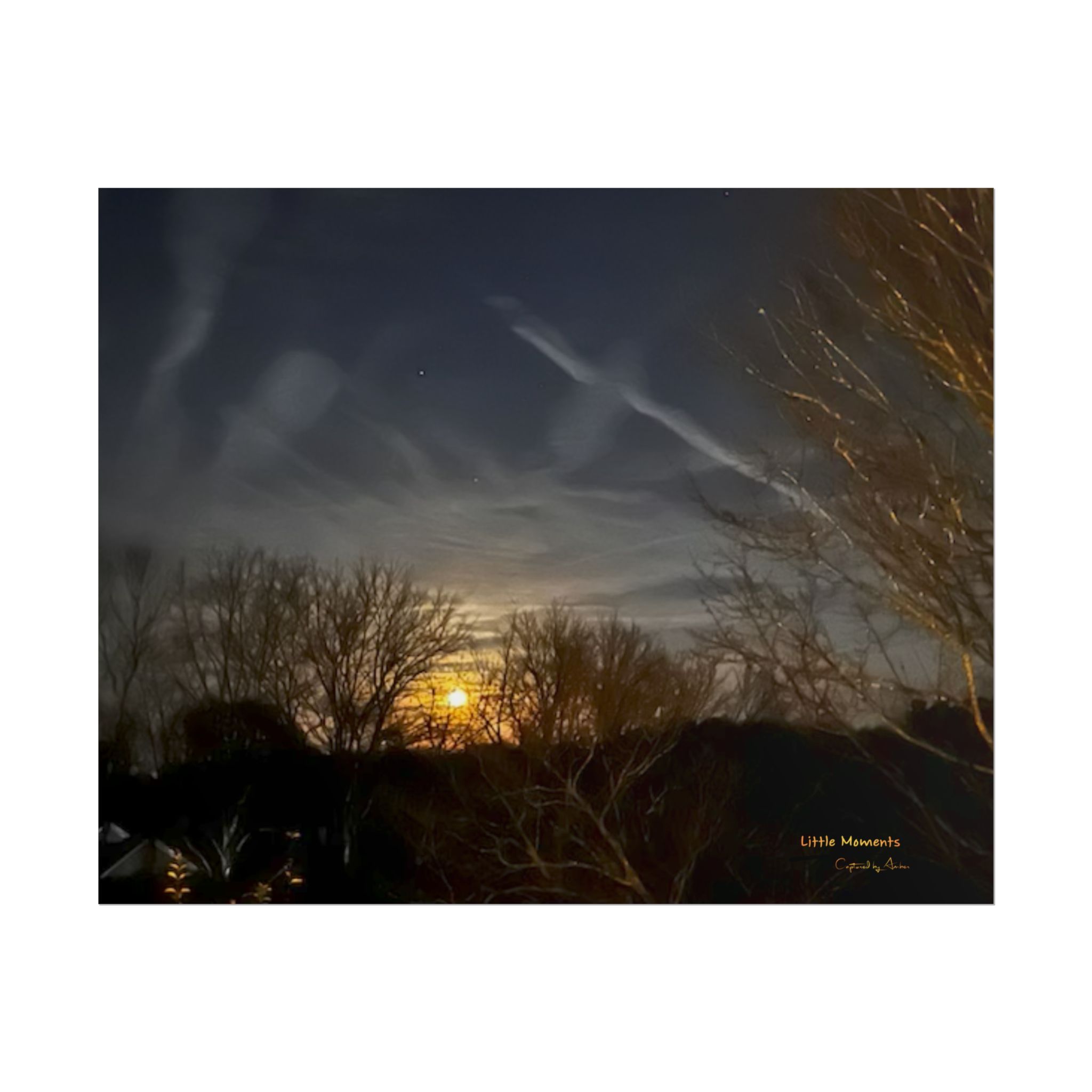 Moonlit Trees Poster — Serene Night Sky Landscape Wall Art