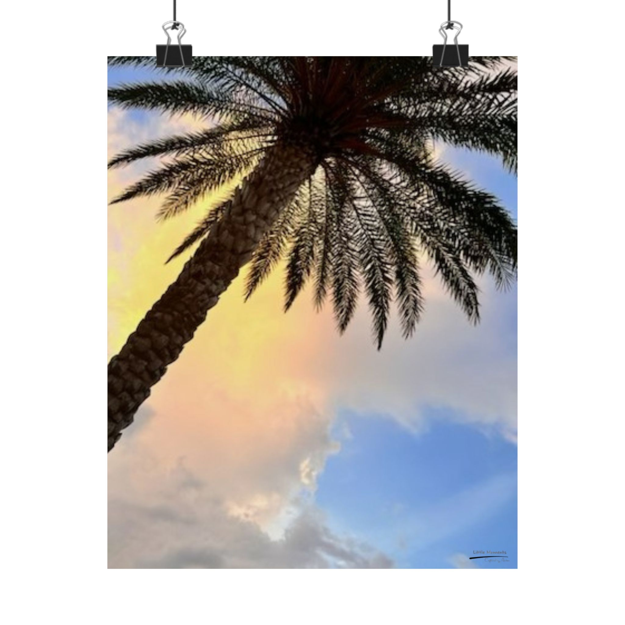 Florida Life series 2 Matte Poster — Tropical Sky Vertical Wall Art