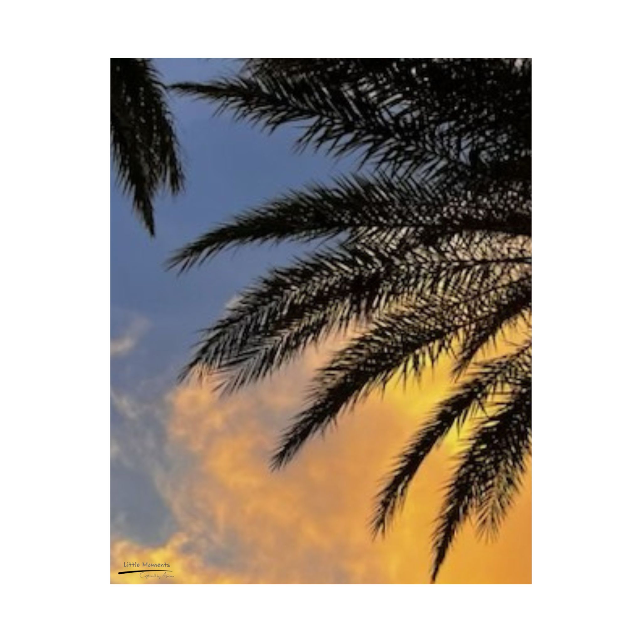 Florida Life series 1 Matte Poster — Tropical Beach Wall Art, Vertical Palm Tree Print