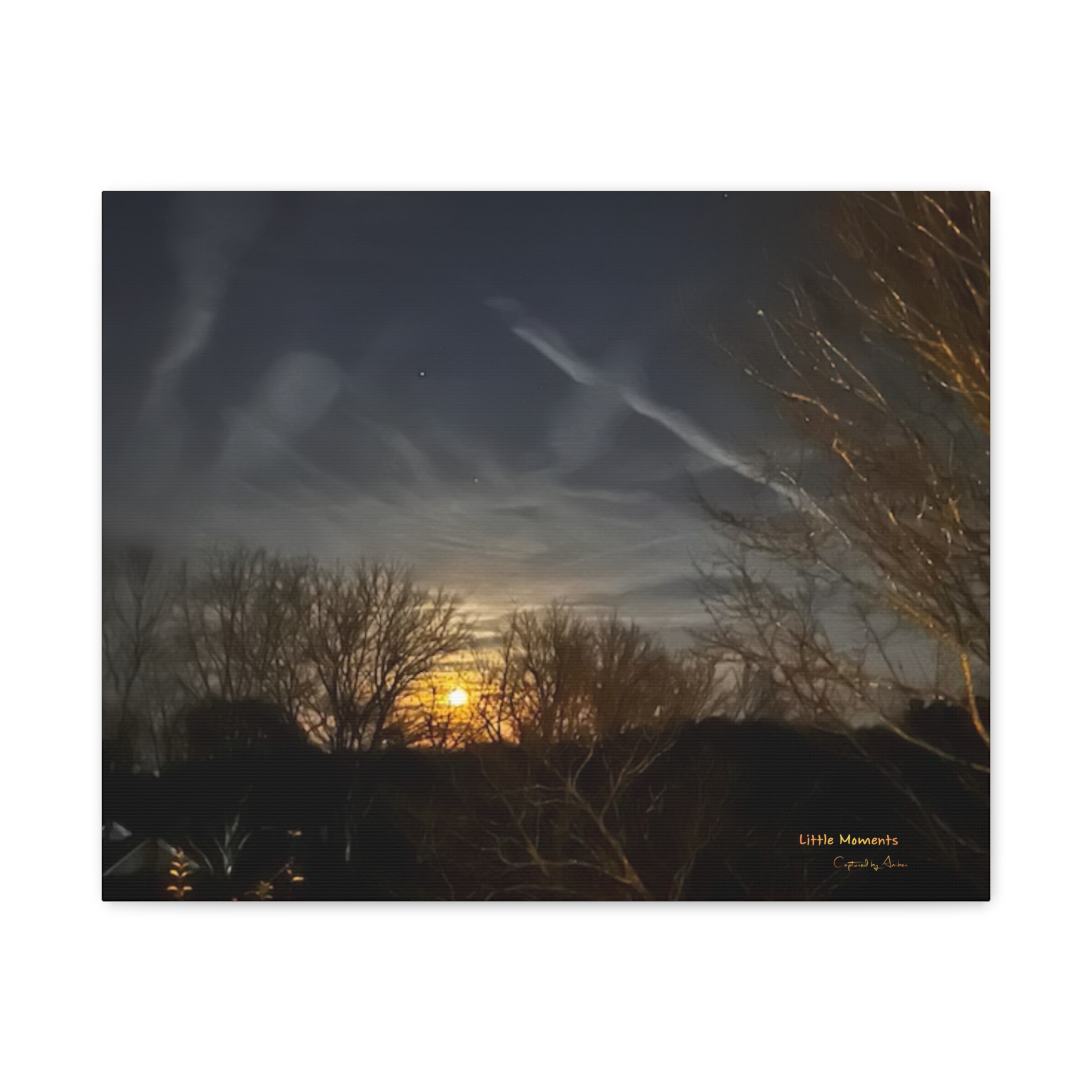 Moonlit Trees Matte Canvas Print — Stretched Wall Art