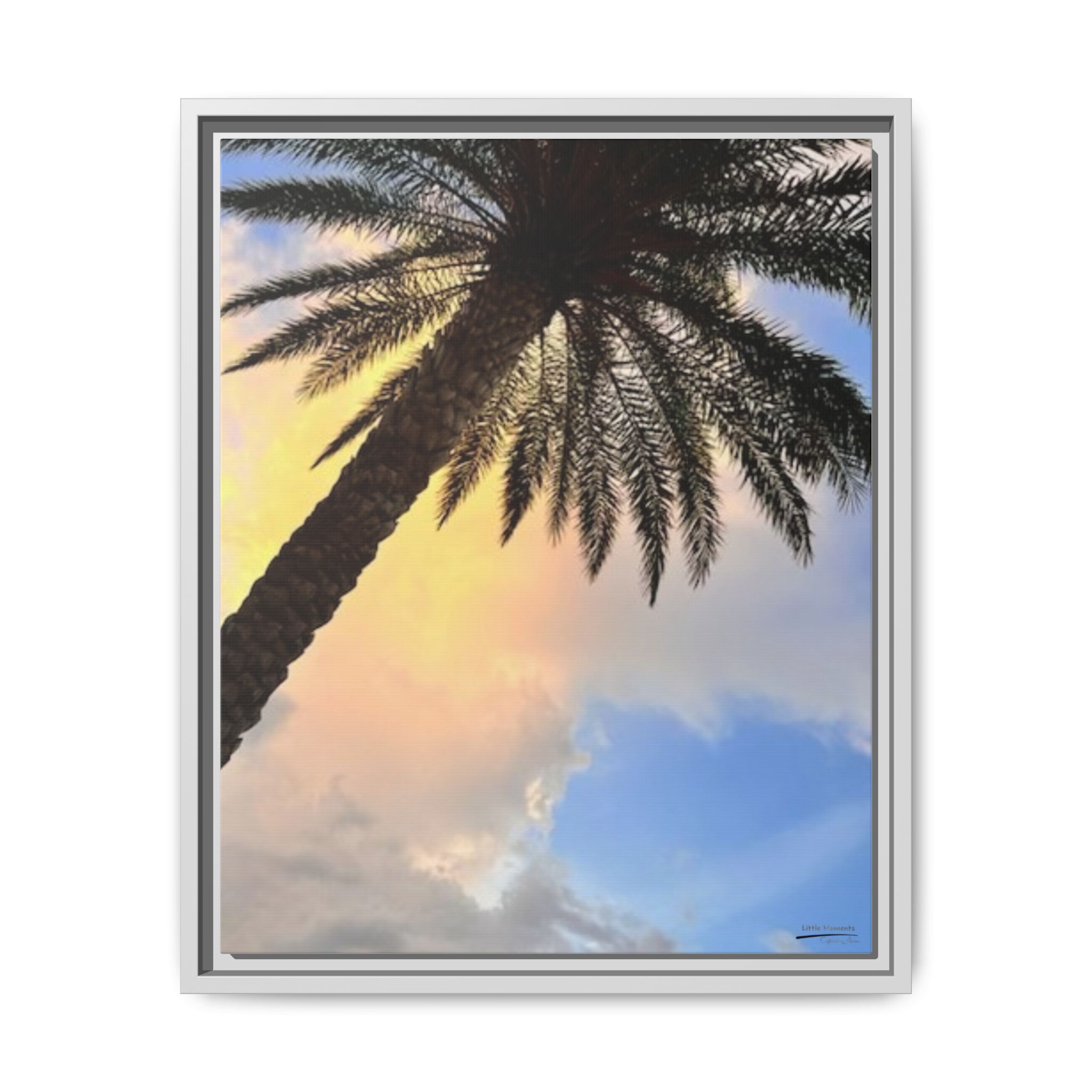 14801625521802969592_2048.jpeg Florida Life series 2 Framed Canvas Print — Tropical Beach Wall Art