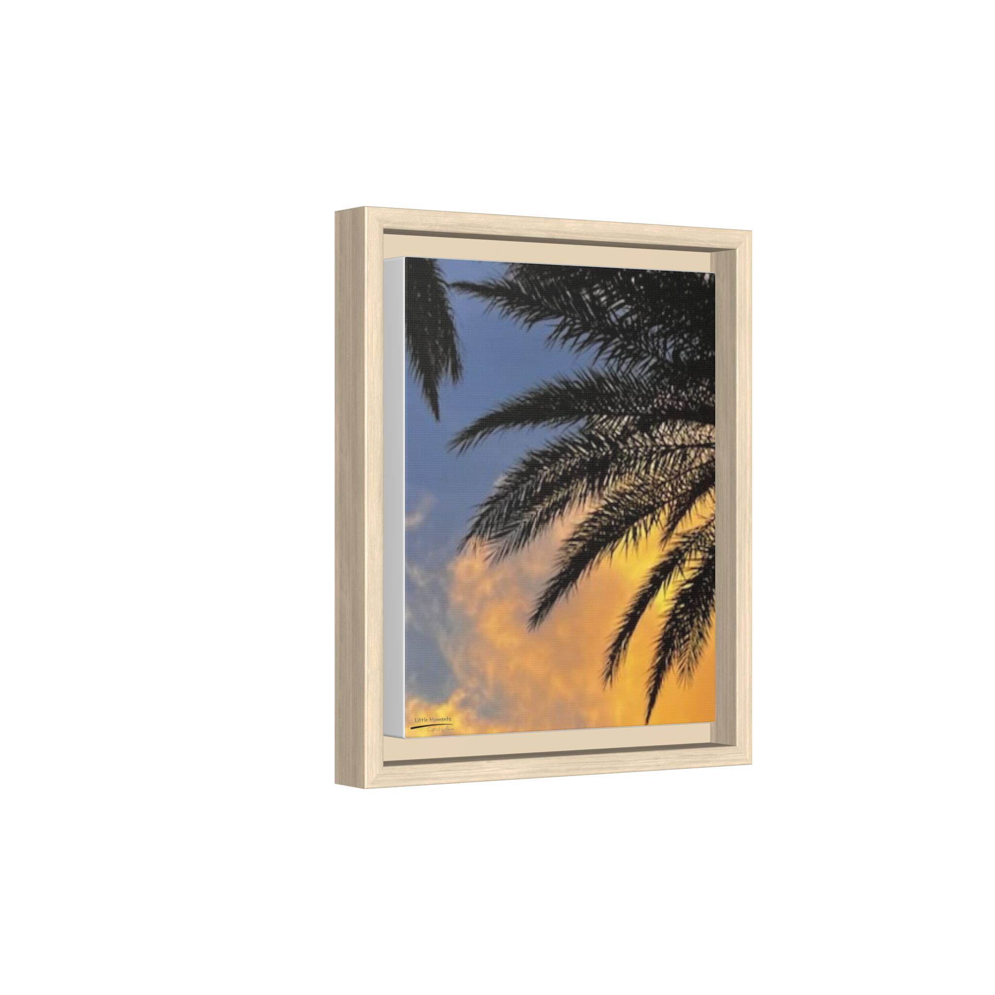 Florida Life series 1 Framed Canvas Print