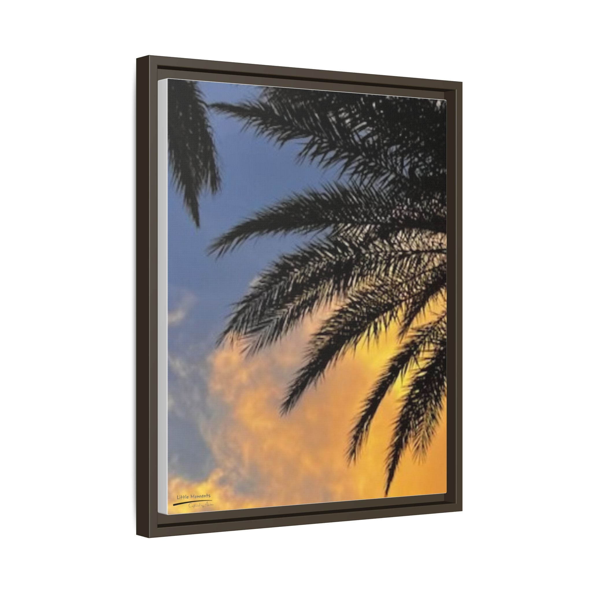 Florida Life series 1 Framed Canvas Print
