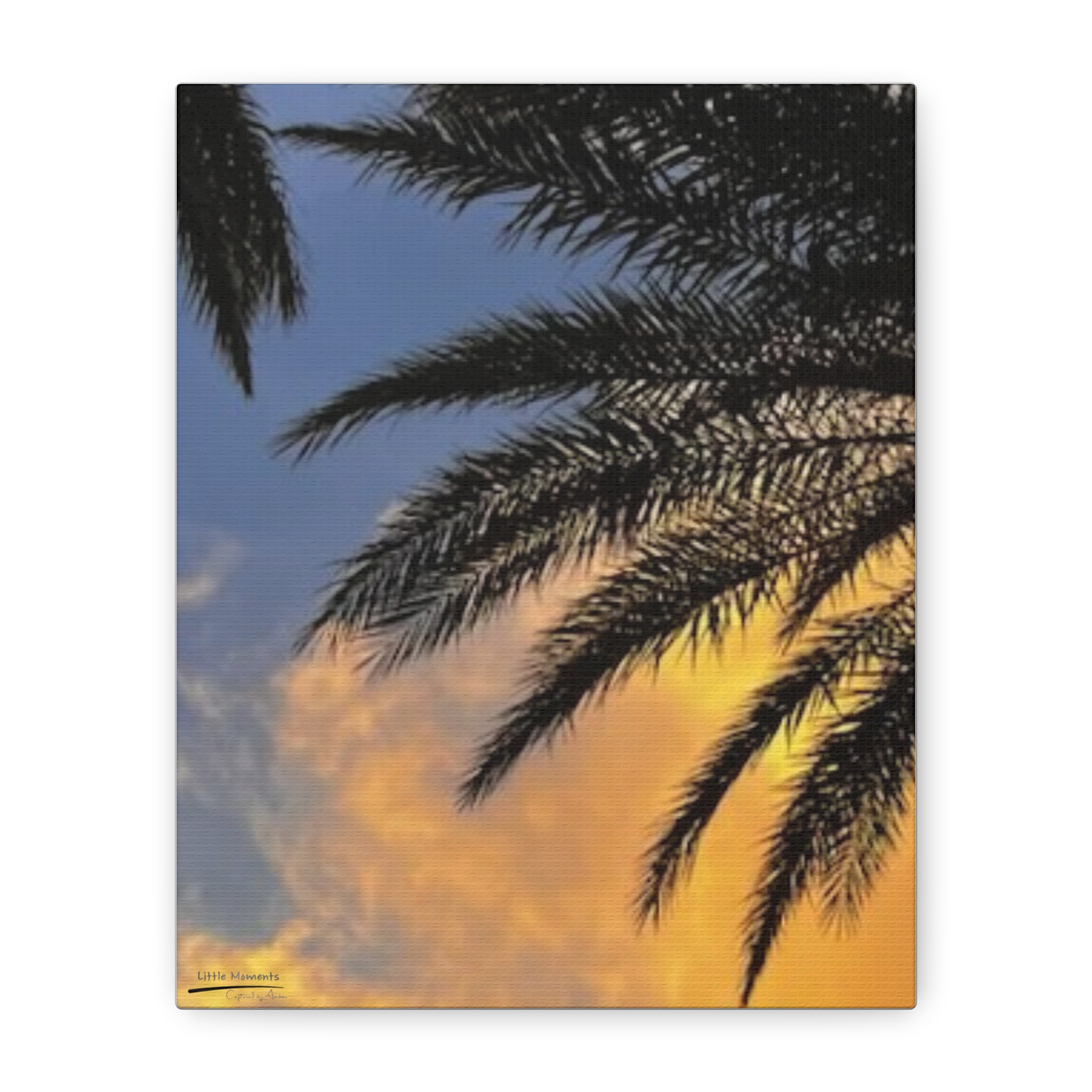 Florida Life series 1 Canvas Wall Art – Tropical Silhouette Matte Stretched Print