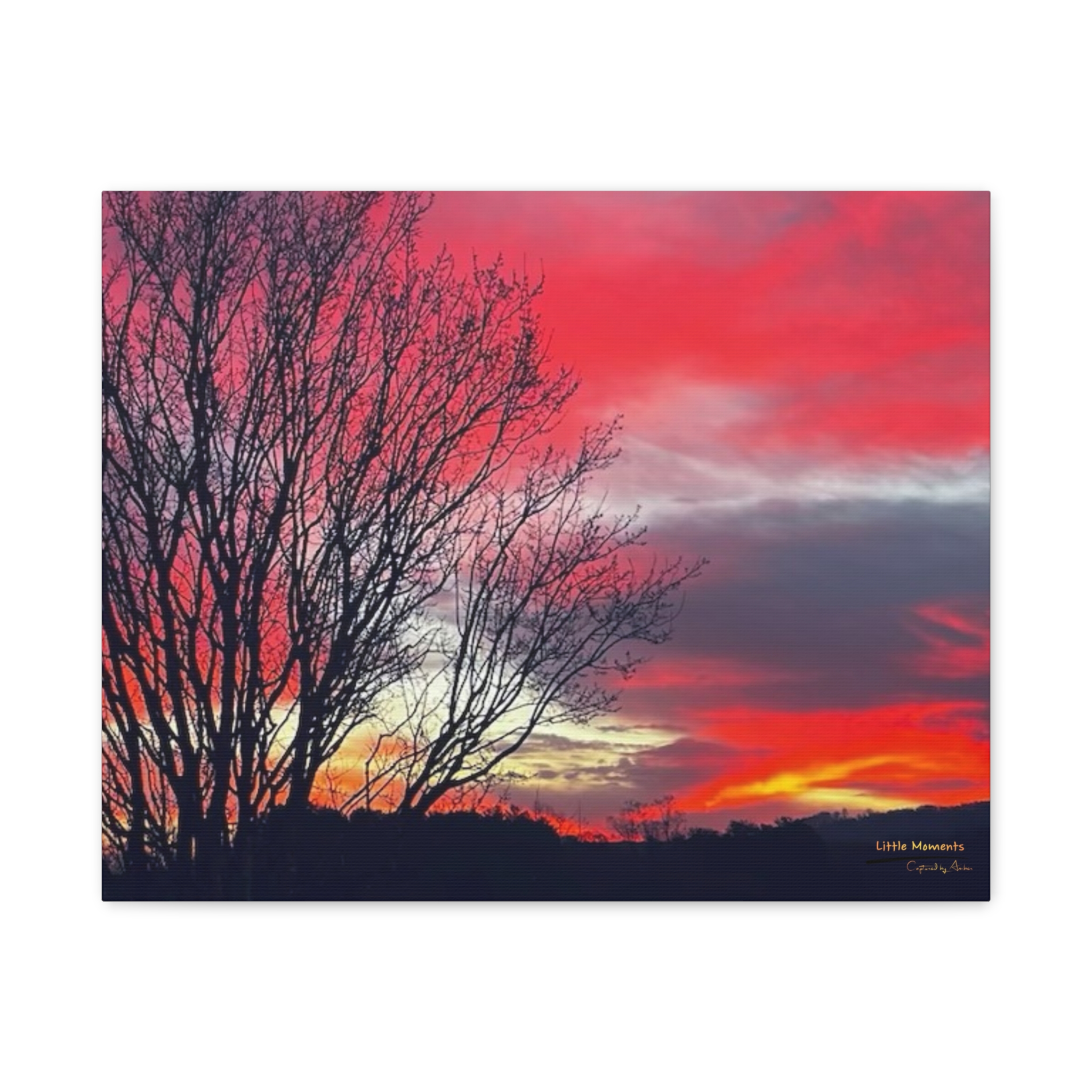16859974730611064831_2048.jpeg Vibrant Red Sky Canvas Print — Matte Stretched Wall Art