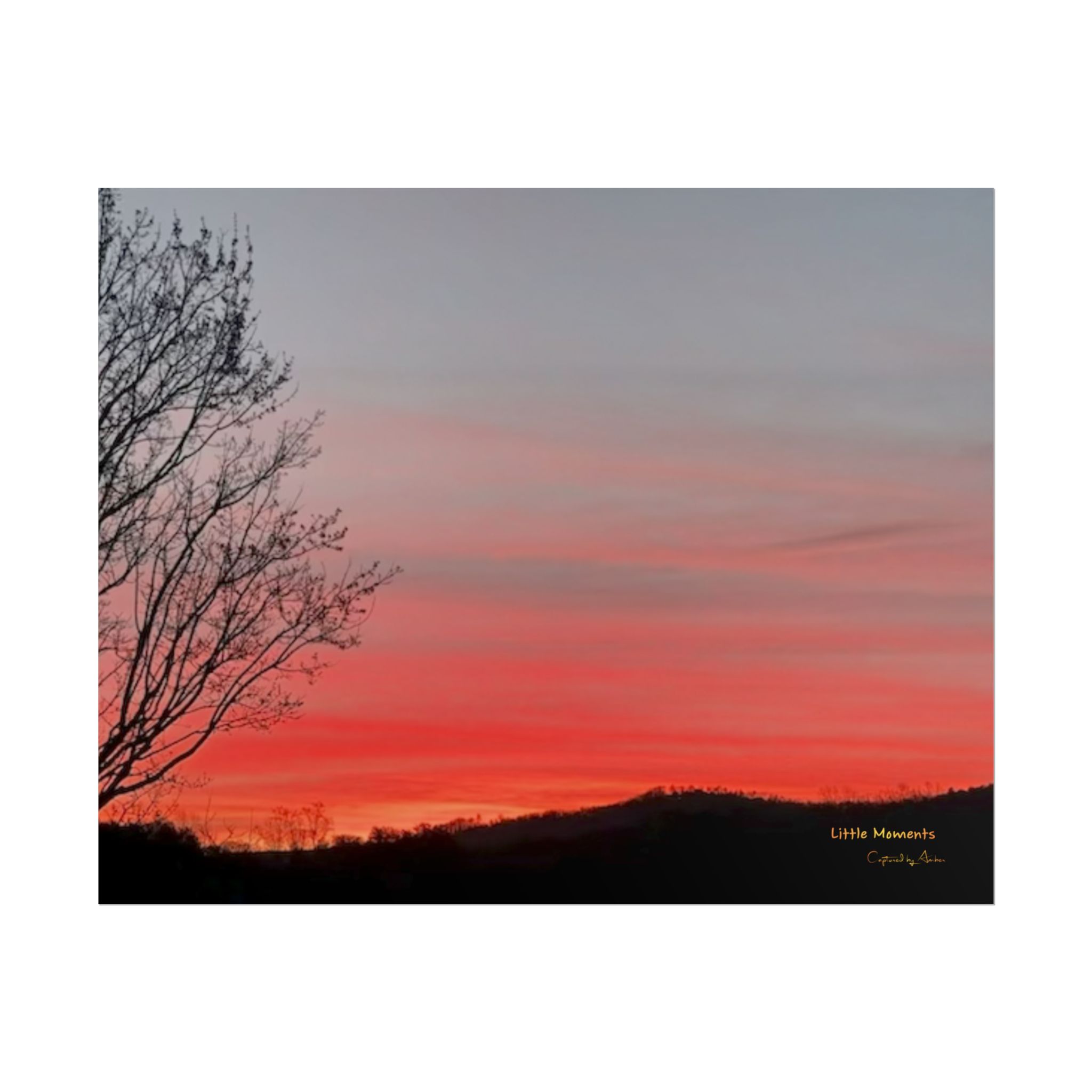Sunset Silhouette Poster — Rolled Fine Art Wall Print