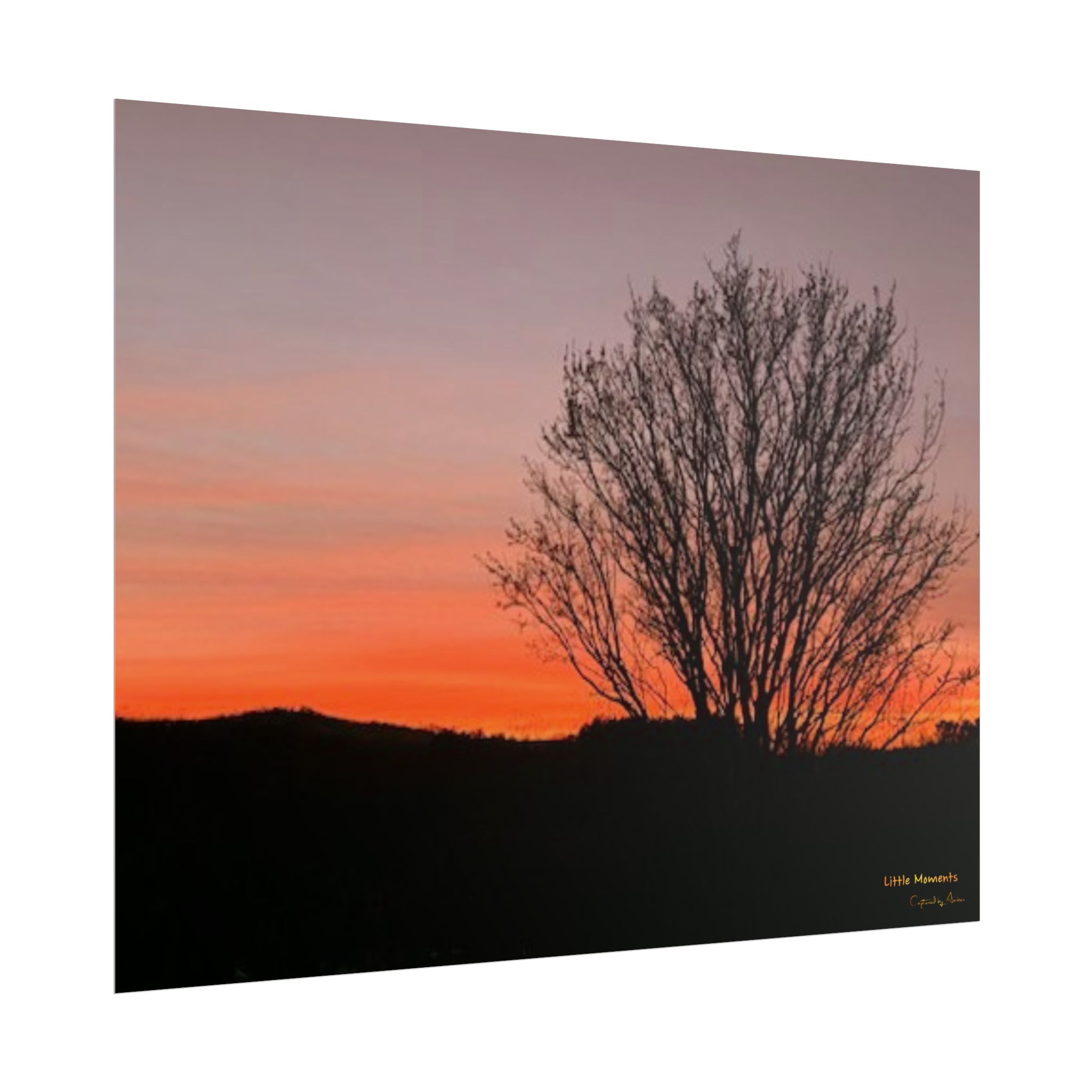 Appalachian Red Sky3 Poster — Tree Silhouette Rolled Art Print