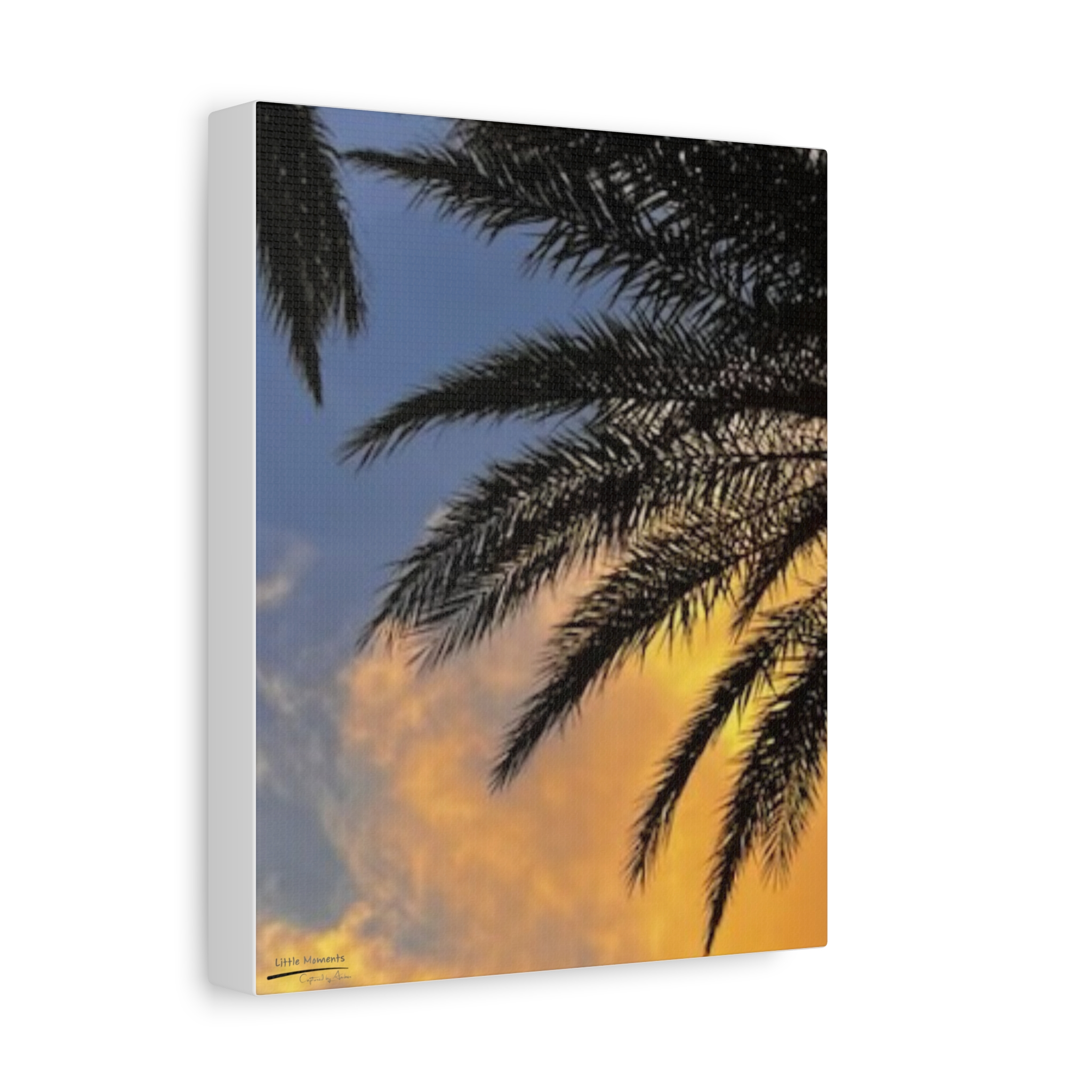 Florida Life series 1 Canvas Wall Art – Tropical Silhouette Matte Stretched Print