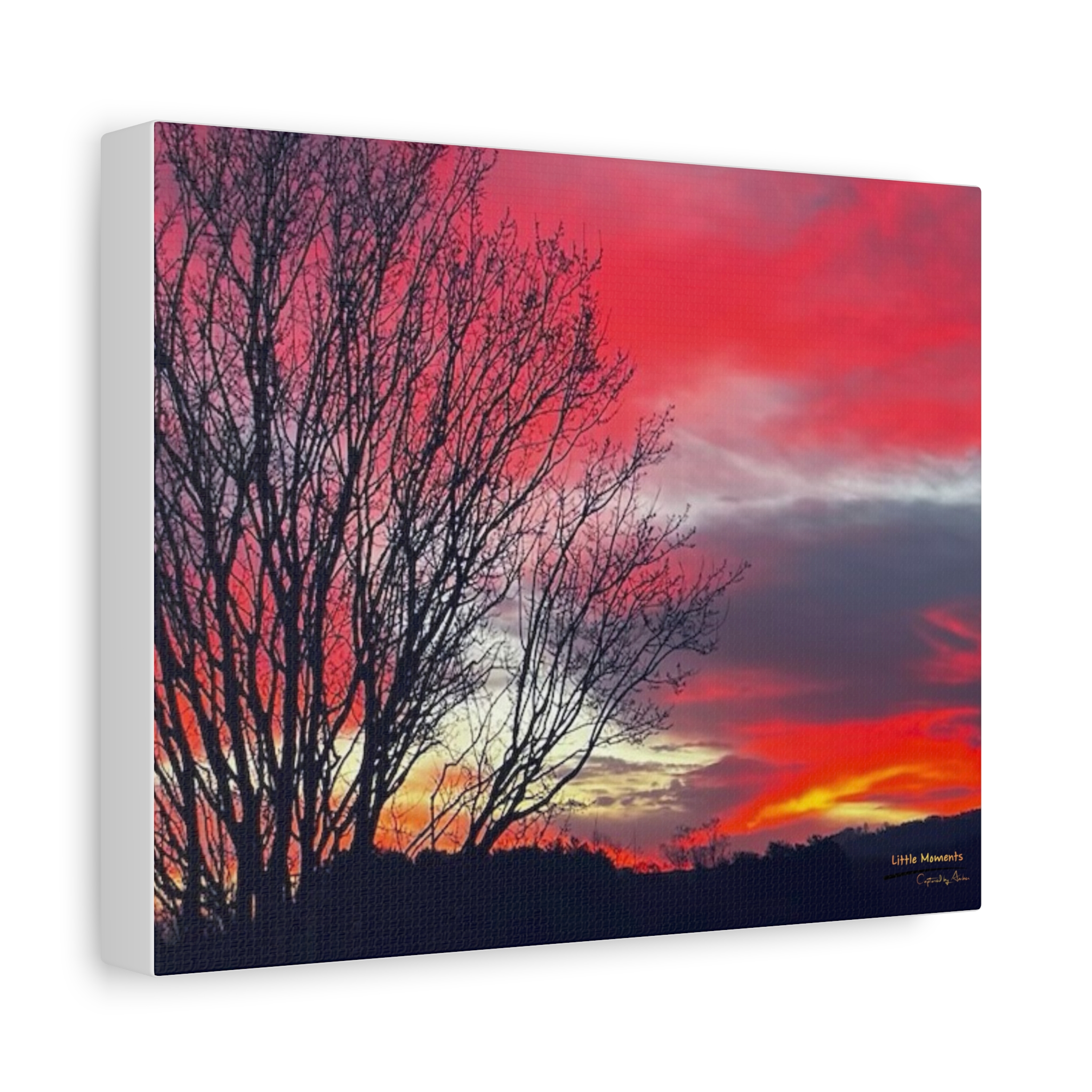 2728665171730315033_2048.jpeg Vibrant Red Sky Canvas Print — Matte Stretched Wall Art