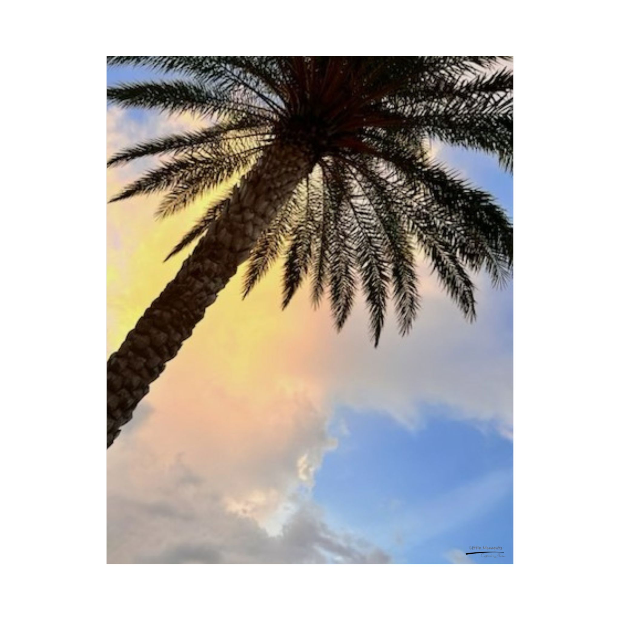 Florida Life series 2 Matte Poster — Tropical Sky Vertical Wall Art