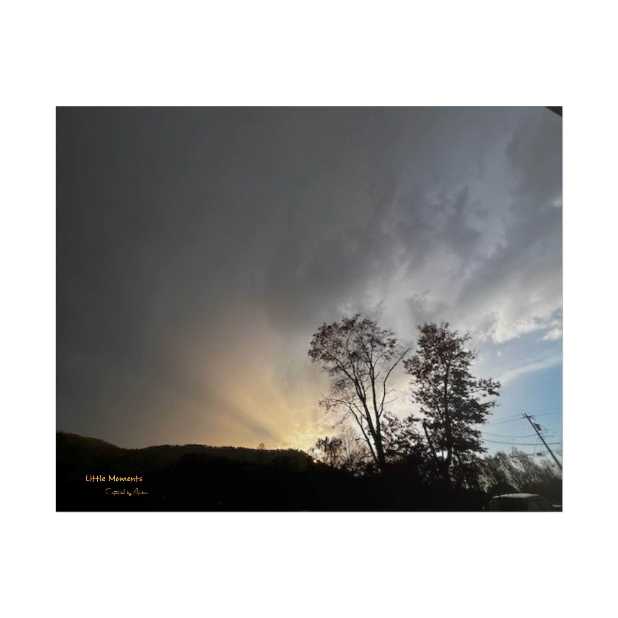 Sunset Storm Poster — Dramatic Tree Silhouette Rolled Wall Art