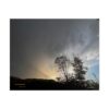 Sunset Storm Poster — Dramatic Tree Silhouette Rolled Wall Art