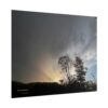 Sunset Storm Poster — Dramatic Tree Silhouette Rolled Wall Art