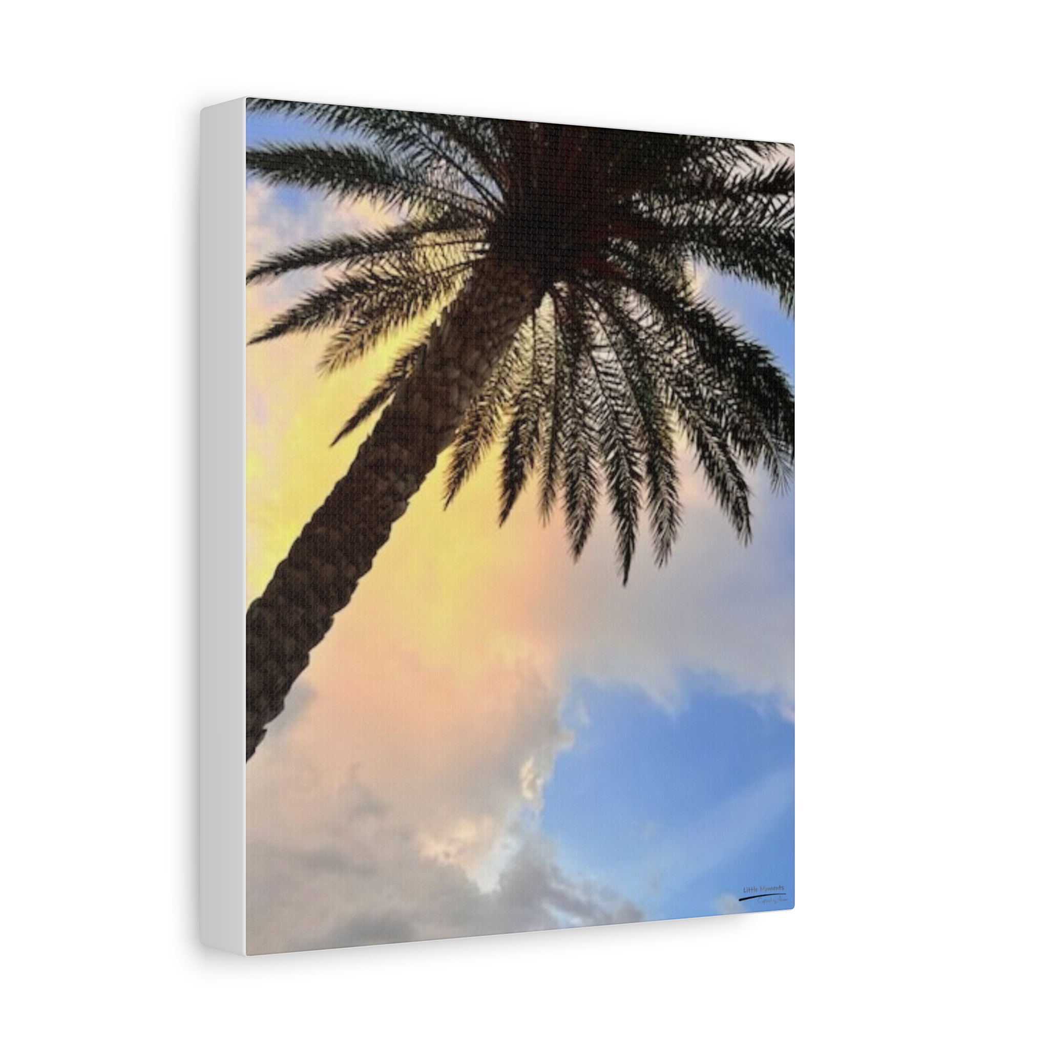 Florida Life series 2 Canvas Print — Tropical Wall Art for Home & Beach Decor