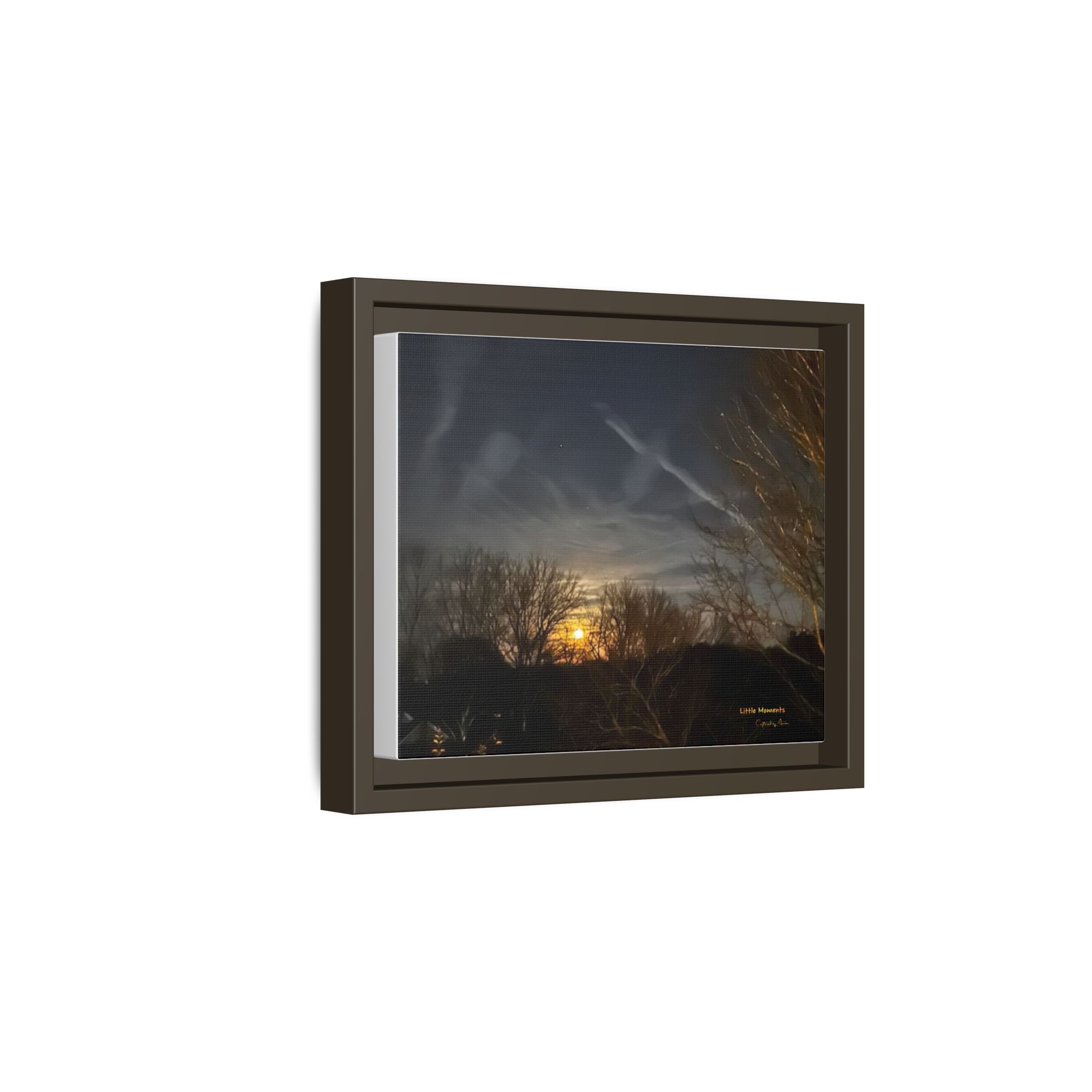 4599532523828138817_2048.jpeg Moonlit Trees Framed Matte Canvas Print — Golden Moonrise