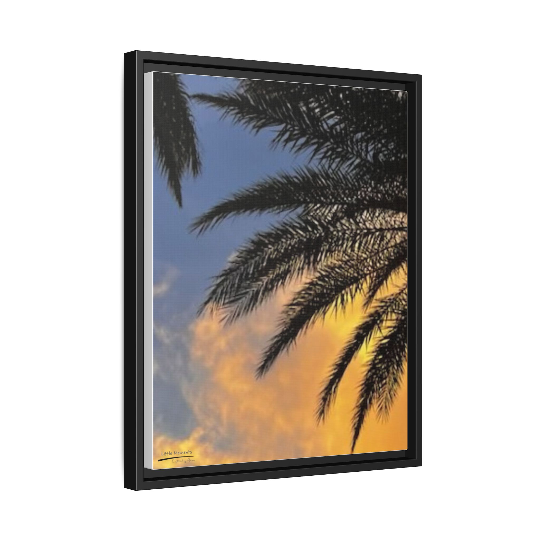 Florida Life series 1 Framed Canvas Print