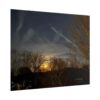 Moonlit Trees Poster — Serene Night Sky Landscape Wall Art