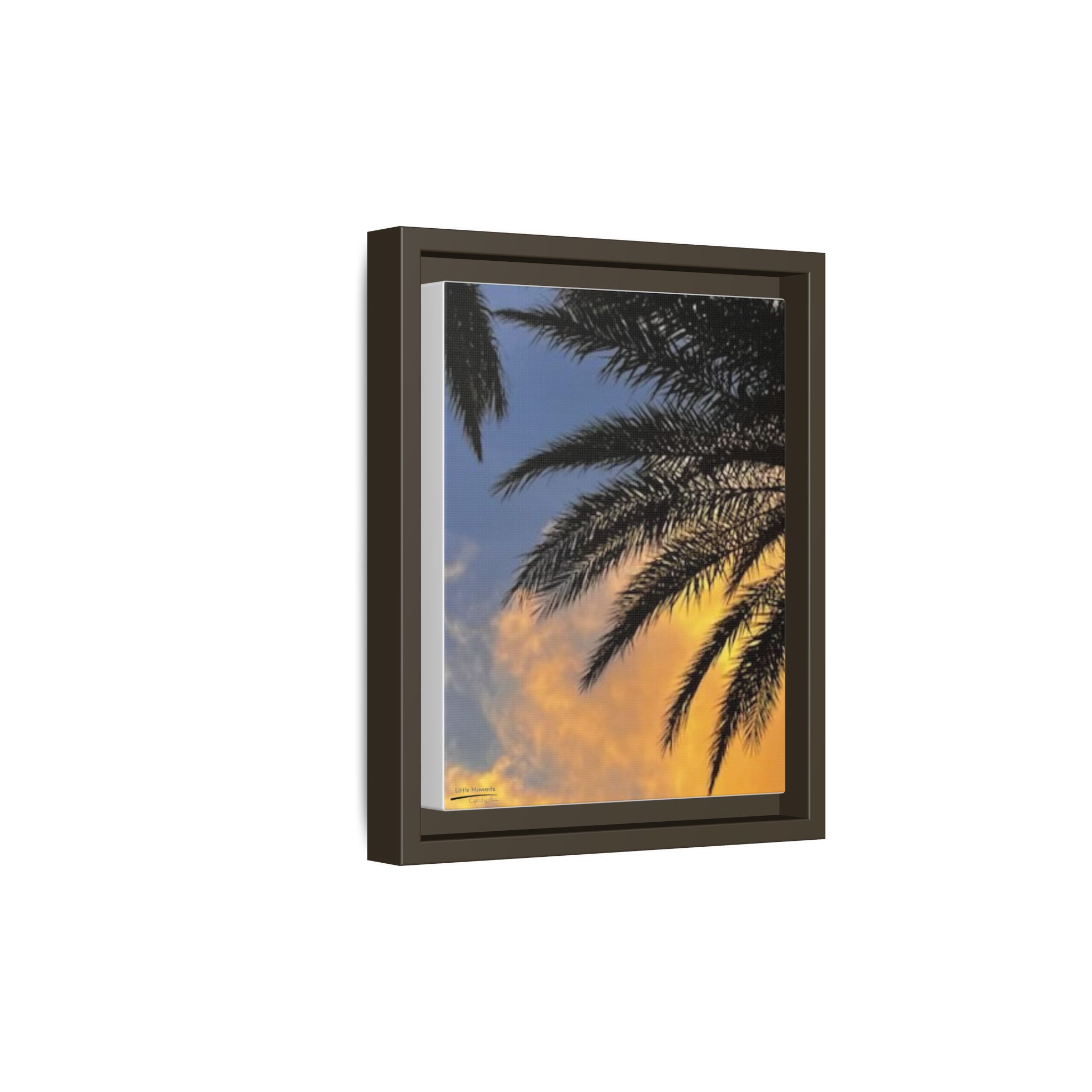 Florida Life series 1 Framed Canvas Print