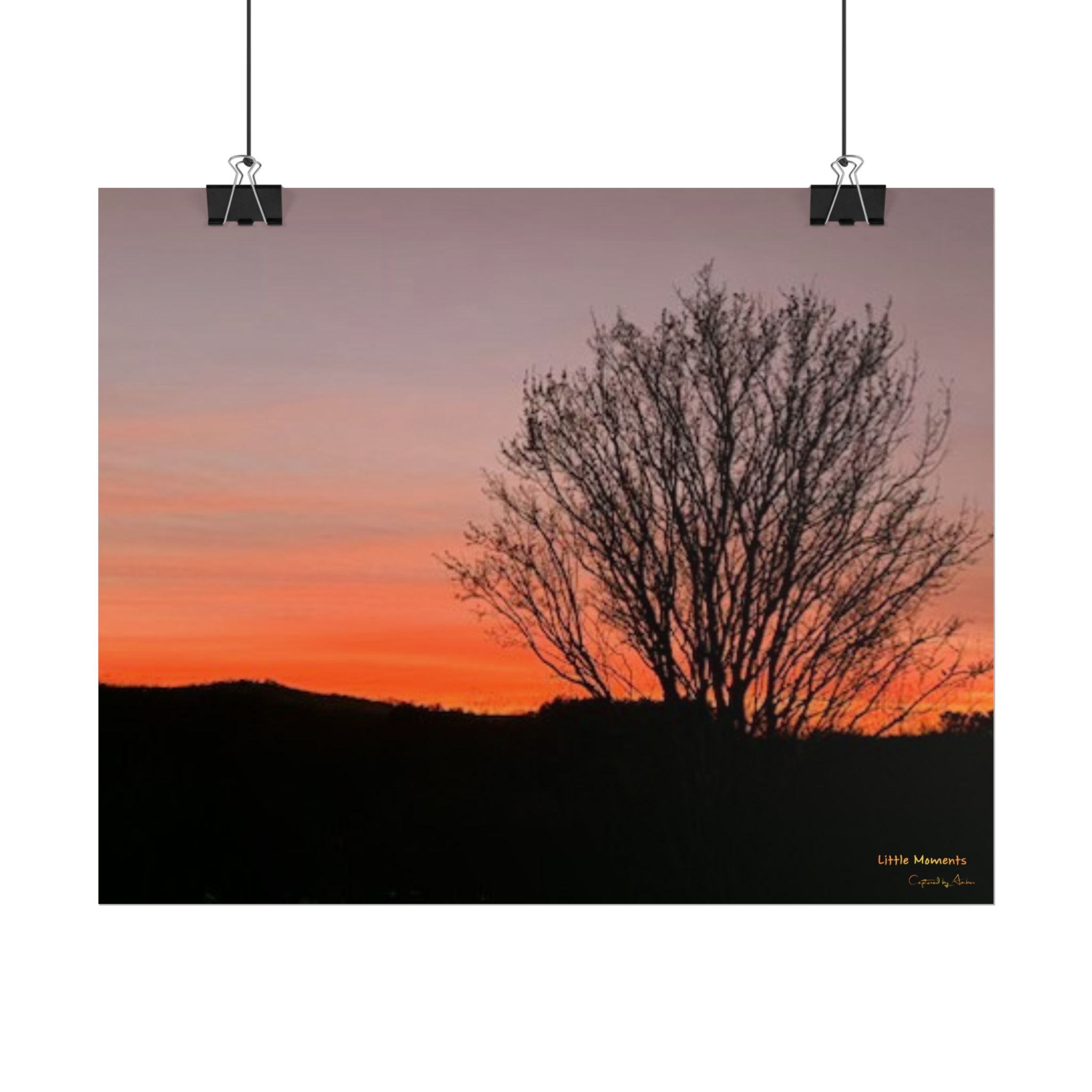 Appalachian Red Sky3 Poster — Tree Silhouette Rolled Art Print