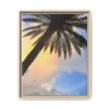 7472671344724637534_2048.jpeg Florida Life series 2 Framed Canvas Print — Tropical Beach Wall Art