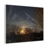 Moonlit Trees Matte Canvas Print — Stretched Wall Art