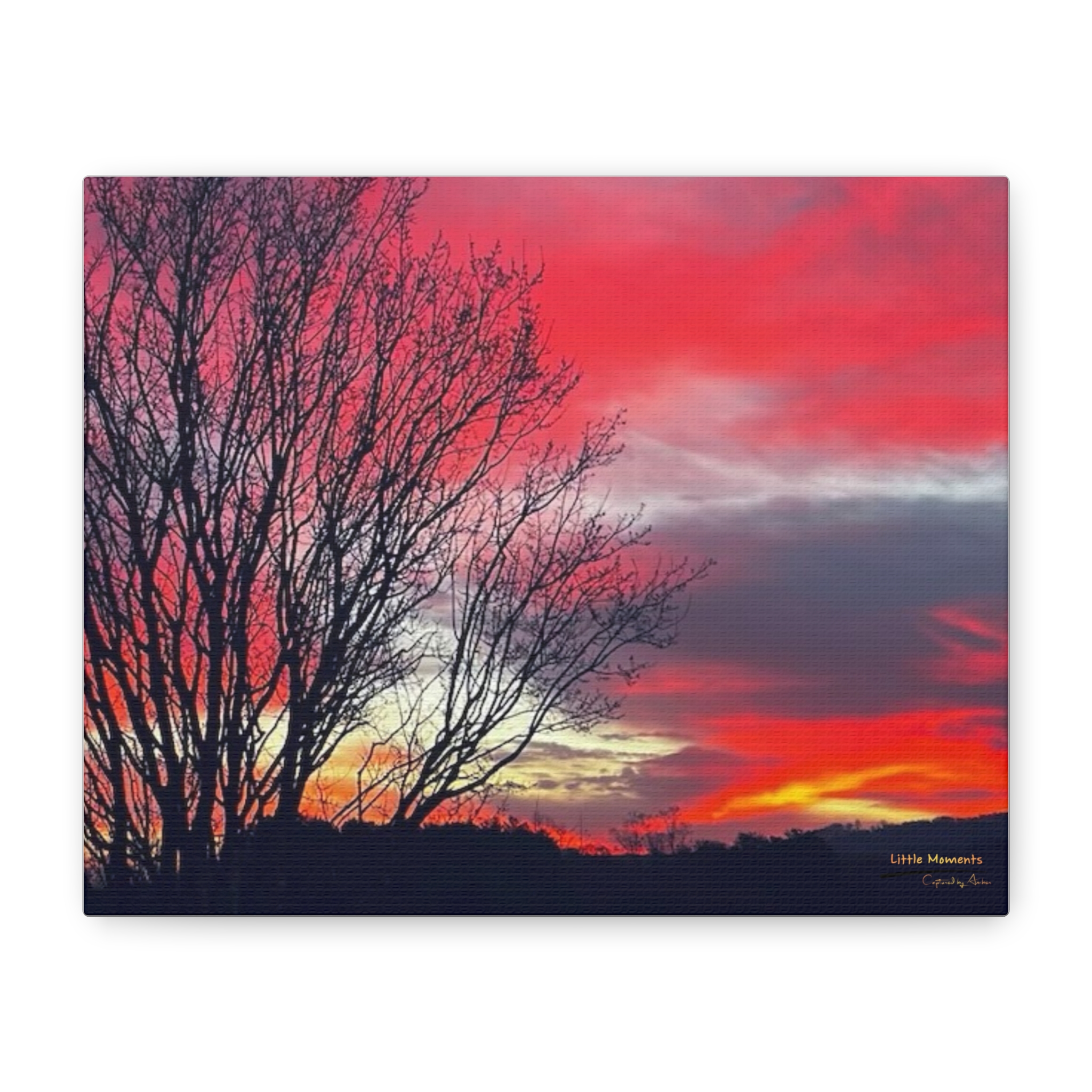 7959213431226177116_2048.jpeg Vibrant Red Sky Canvas Print — Matte Stretched Wall Art