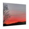 Sunset Silhouette Poster — Rolled Fine Art Wall Print
