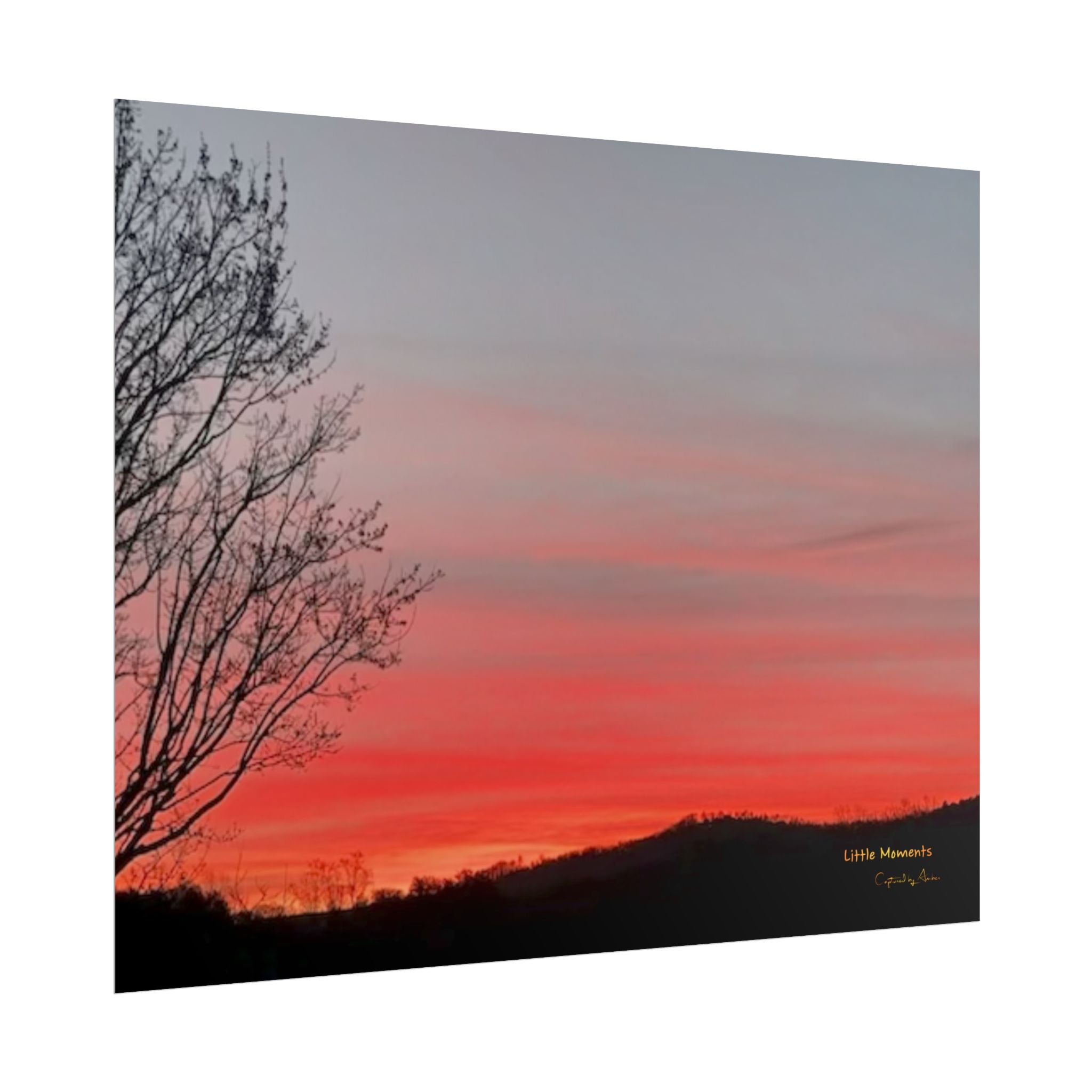 Sunset Silhouette Poster — Rolled Fine Art Wall Print