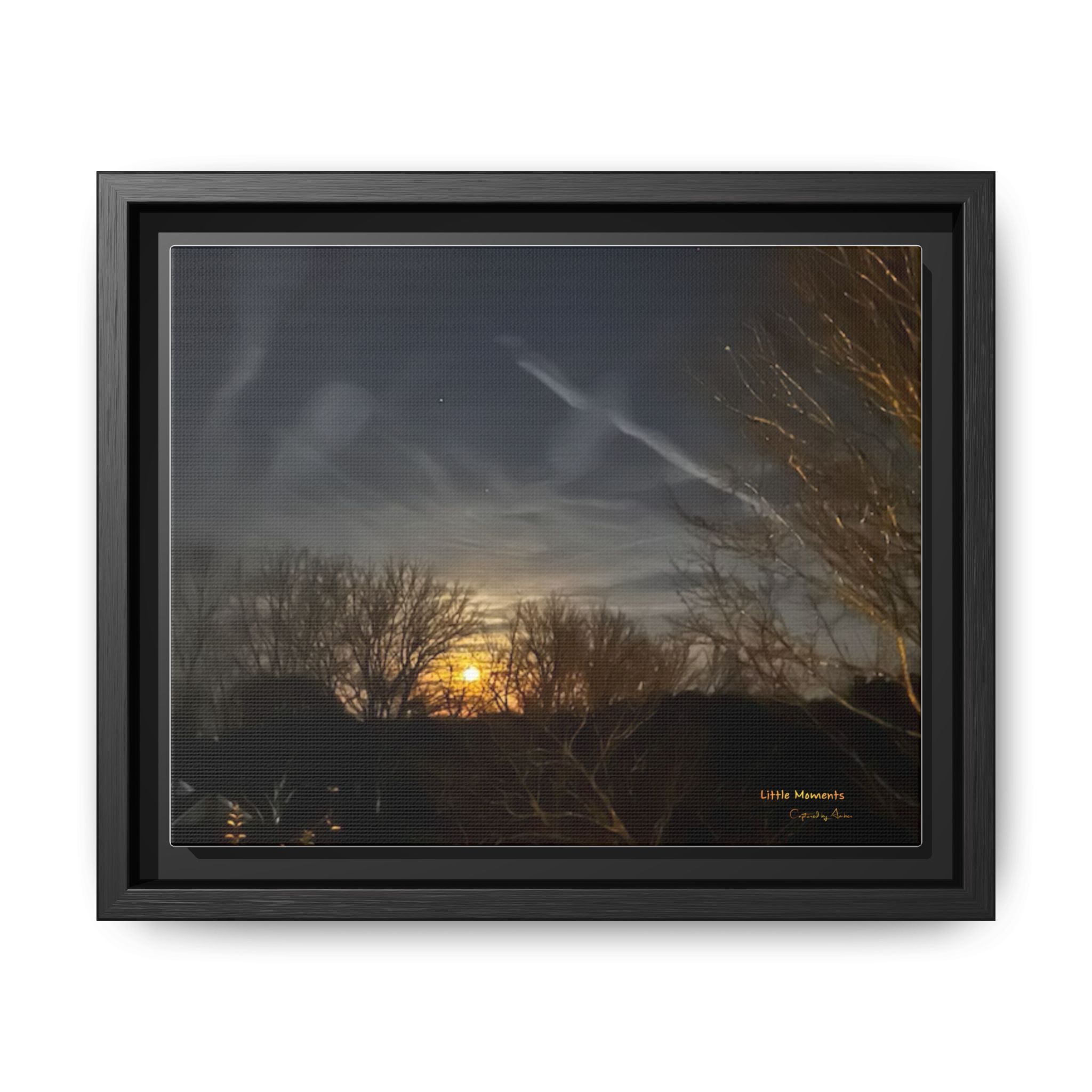 8924888608443135197_2048.jpeg Moonlit Trees Framed Matte Canvas Print — Golden Moonrise