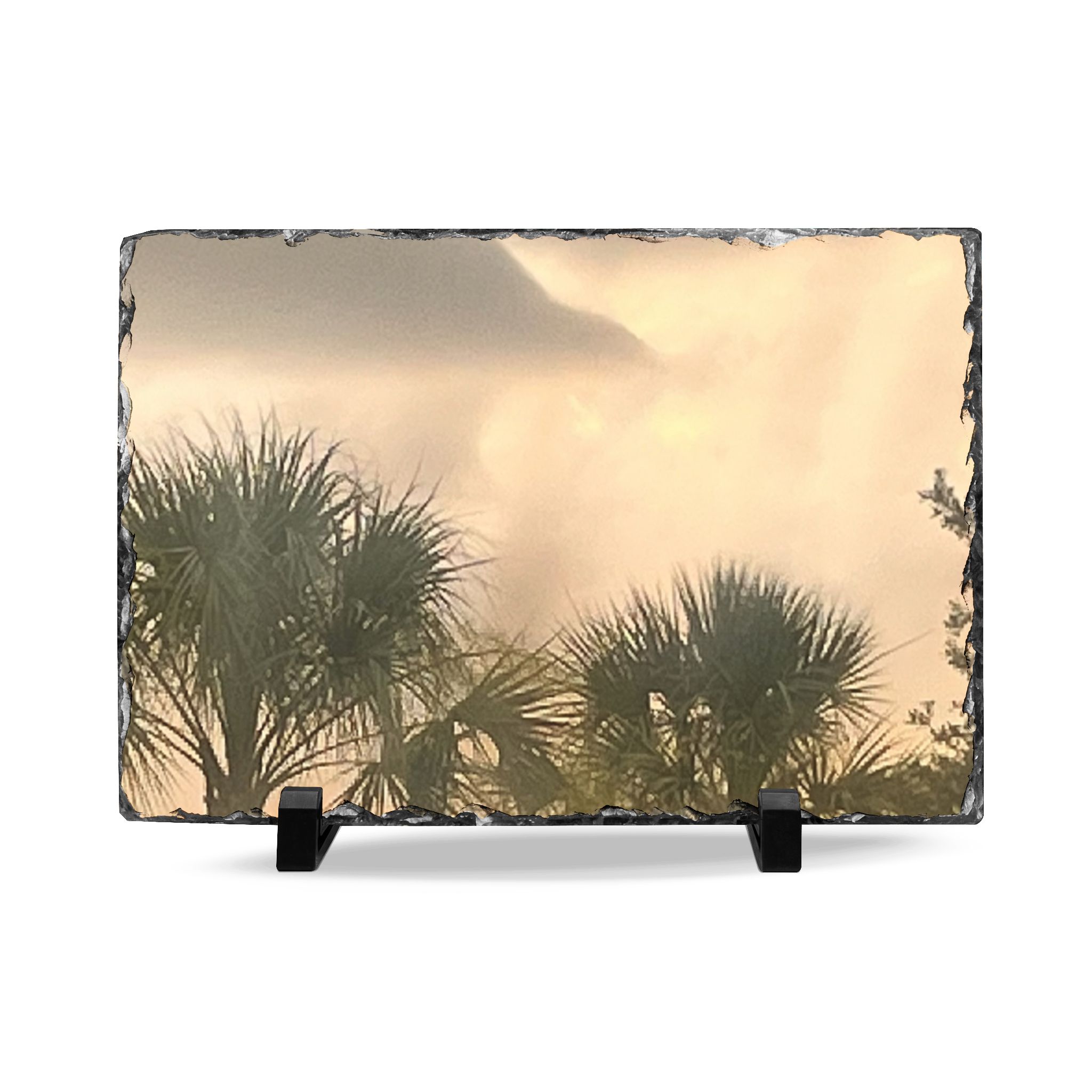 Palm Trees at Dusk Slate Desk Plaque — Tropical Sunset Photo Accent